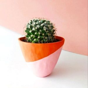 Meet your Posher, Savannah